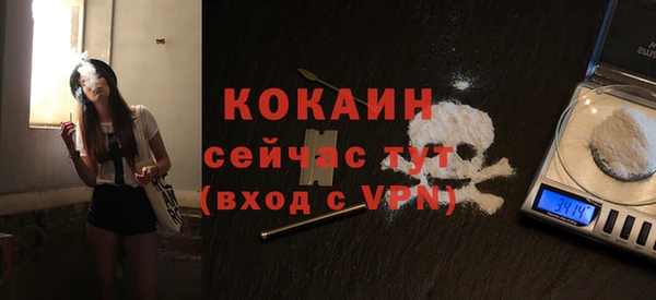 кокс Арсеньев