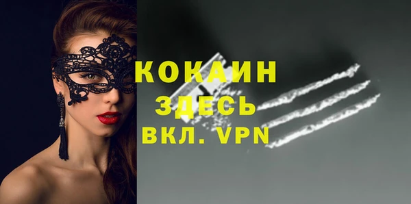 кокс Арсеньев