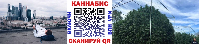 Канабис Ganja  сколько стоит  Пустошка 